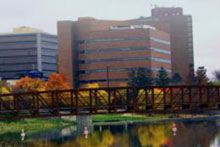 Bridge over the Flint River